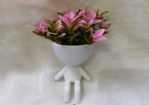 Maceta sentada planta