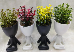 Maceta sentada planta