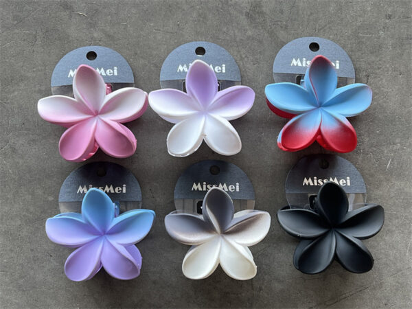 Broche Hawaii - Imagen 2