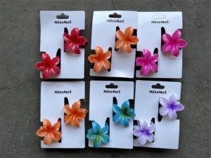 Mini Broches Hawaii