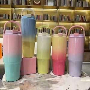 Termo de acero inoxidable con Bombilla Color Degradado 850 ml